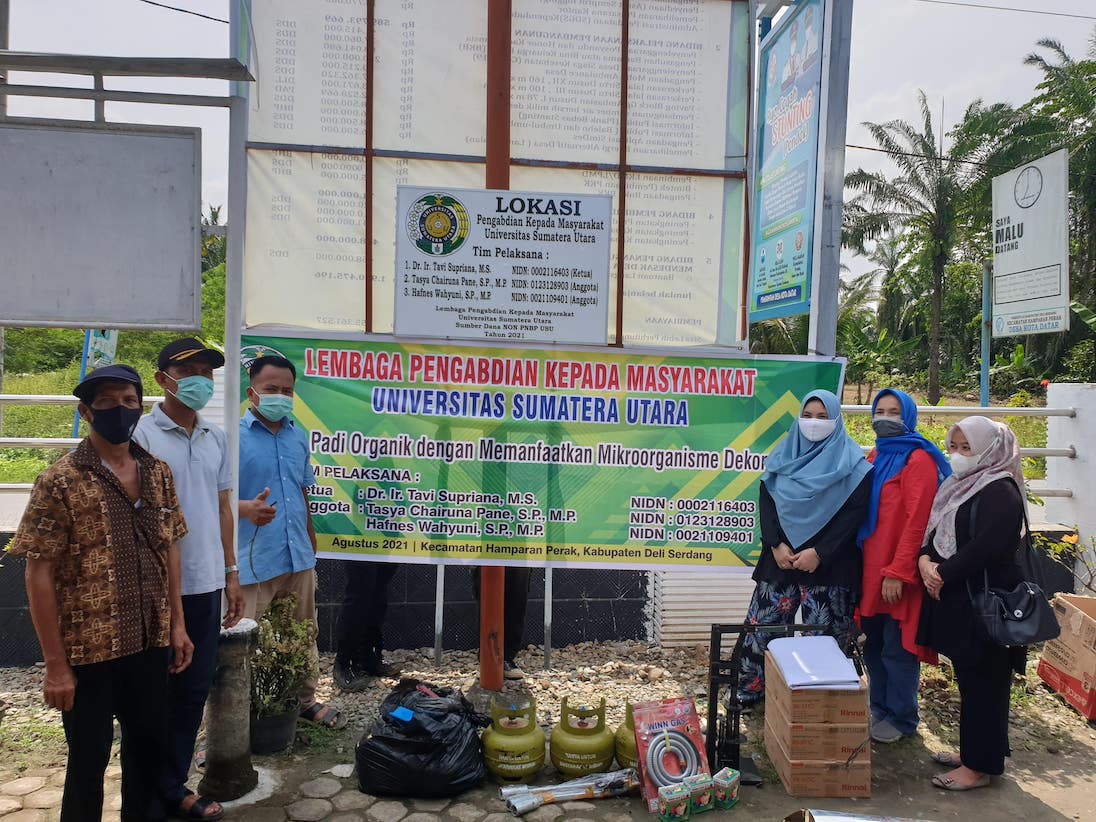 USU Community Service Encouraging the Initiation of Organic Rice Farming by Utilising Decomposer Microorganisms in Hamparan Perak